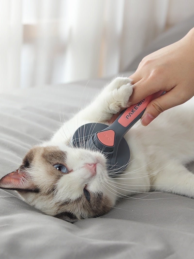 PetBrush - Smart borste för alla husdjur
